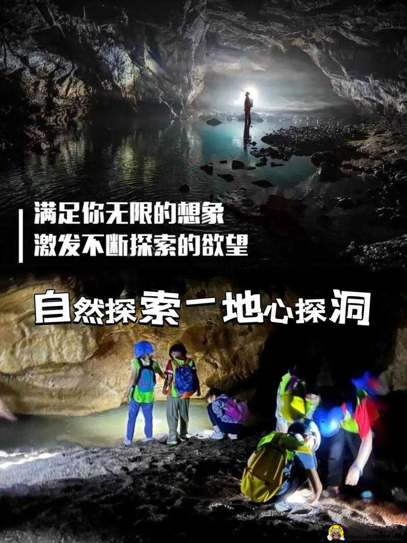 昼夜更替 12 小时：探索自然奥秘的奇妙旅程